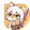 早桔薄荷
