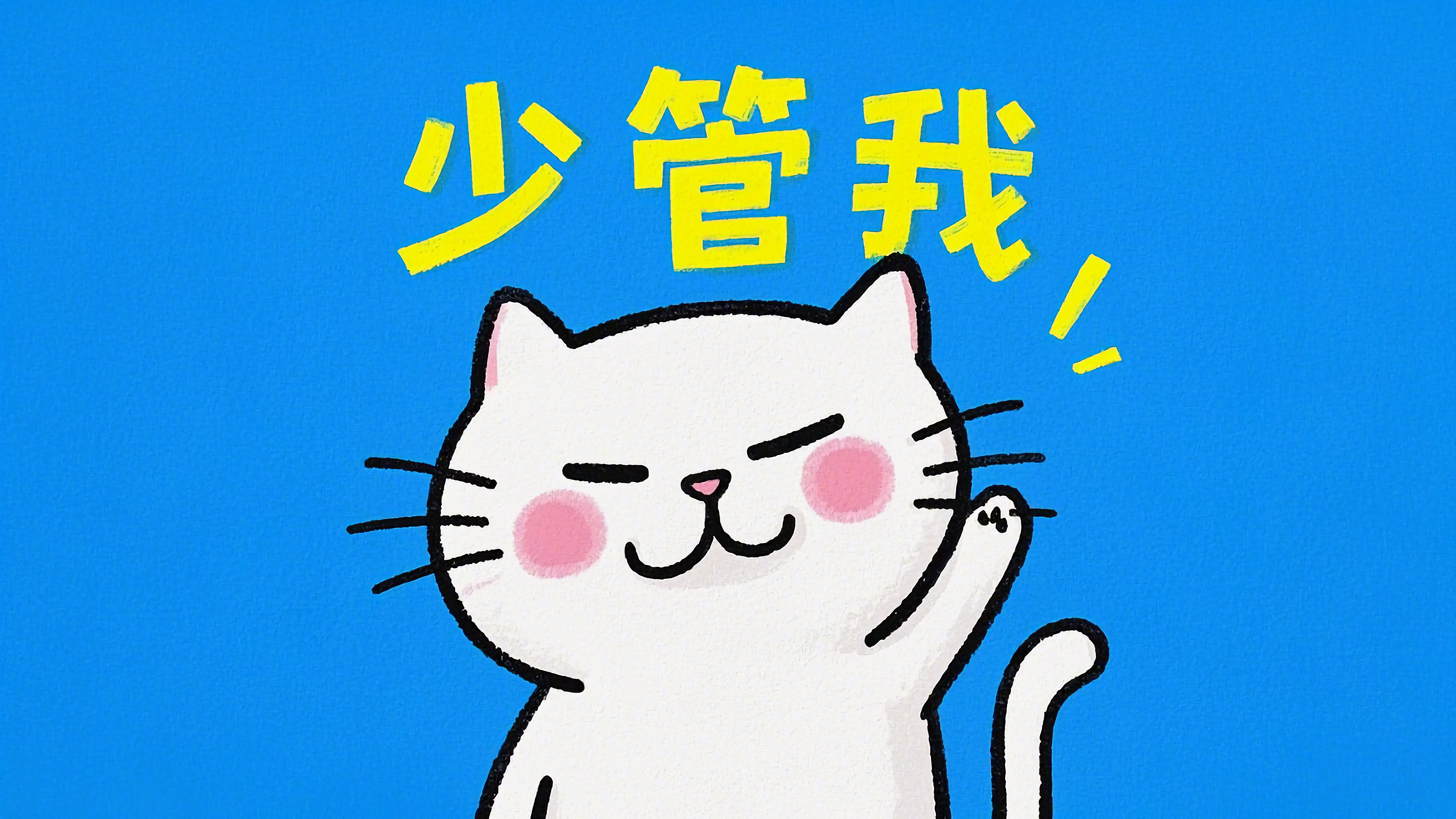 可爱猫咪少管我