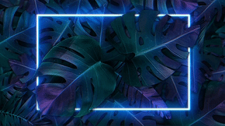Neon leaves MP4 霓虹蒸汽龟背叶 视频低耗版