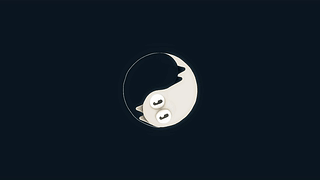 太极猫 YingYangKitty