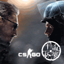 CS GO 反恐精英