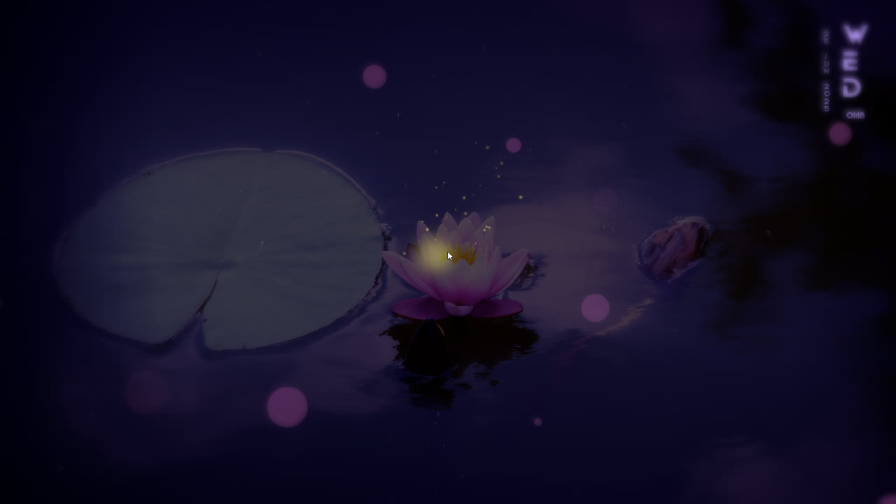 睡莲 [4K]​/Water Lily [4K]