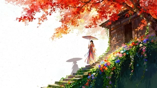 花阶枫暖 动态壁纸 | 作者：时光云廊