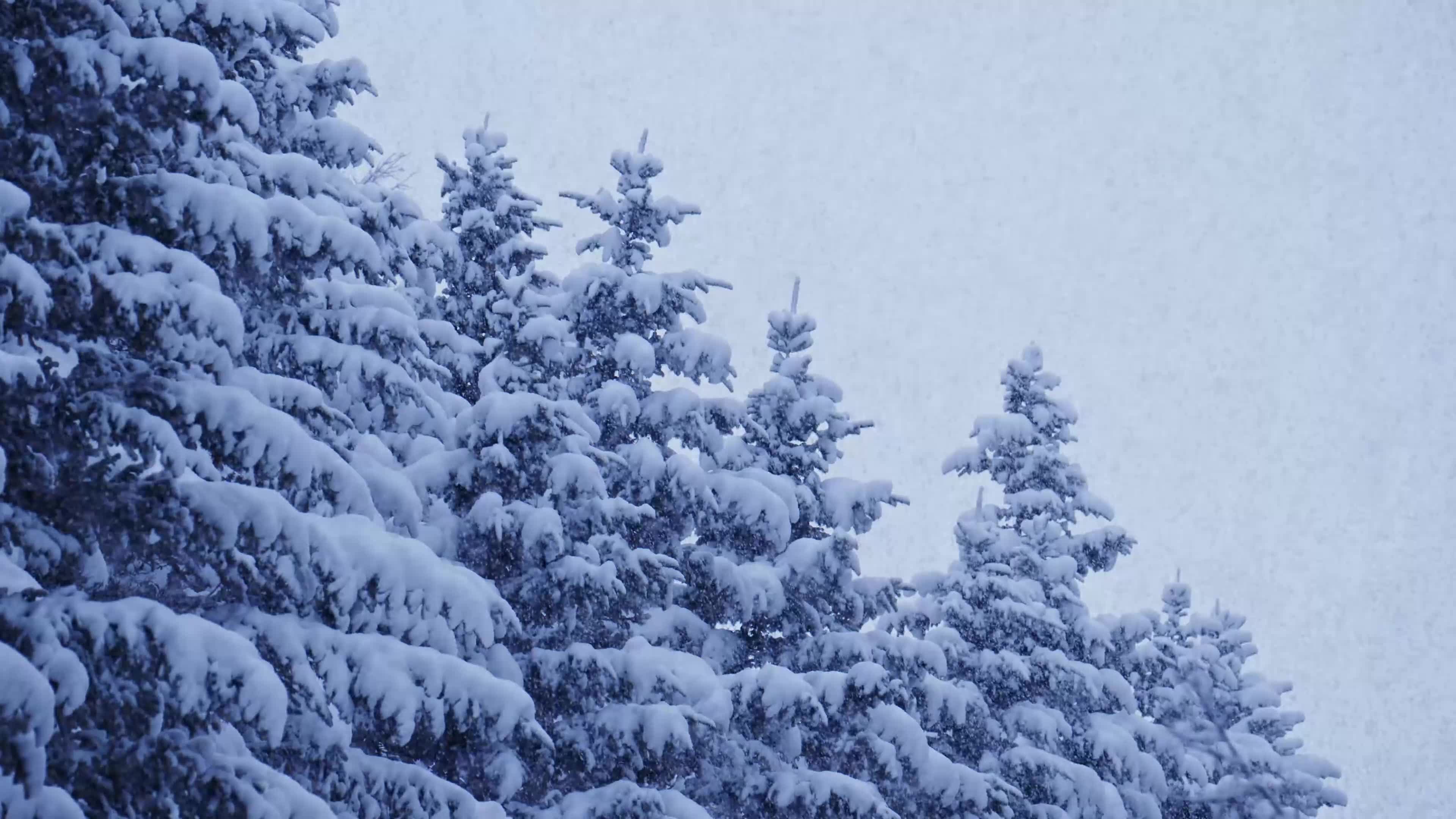 雪景