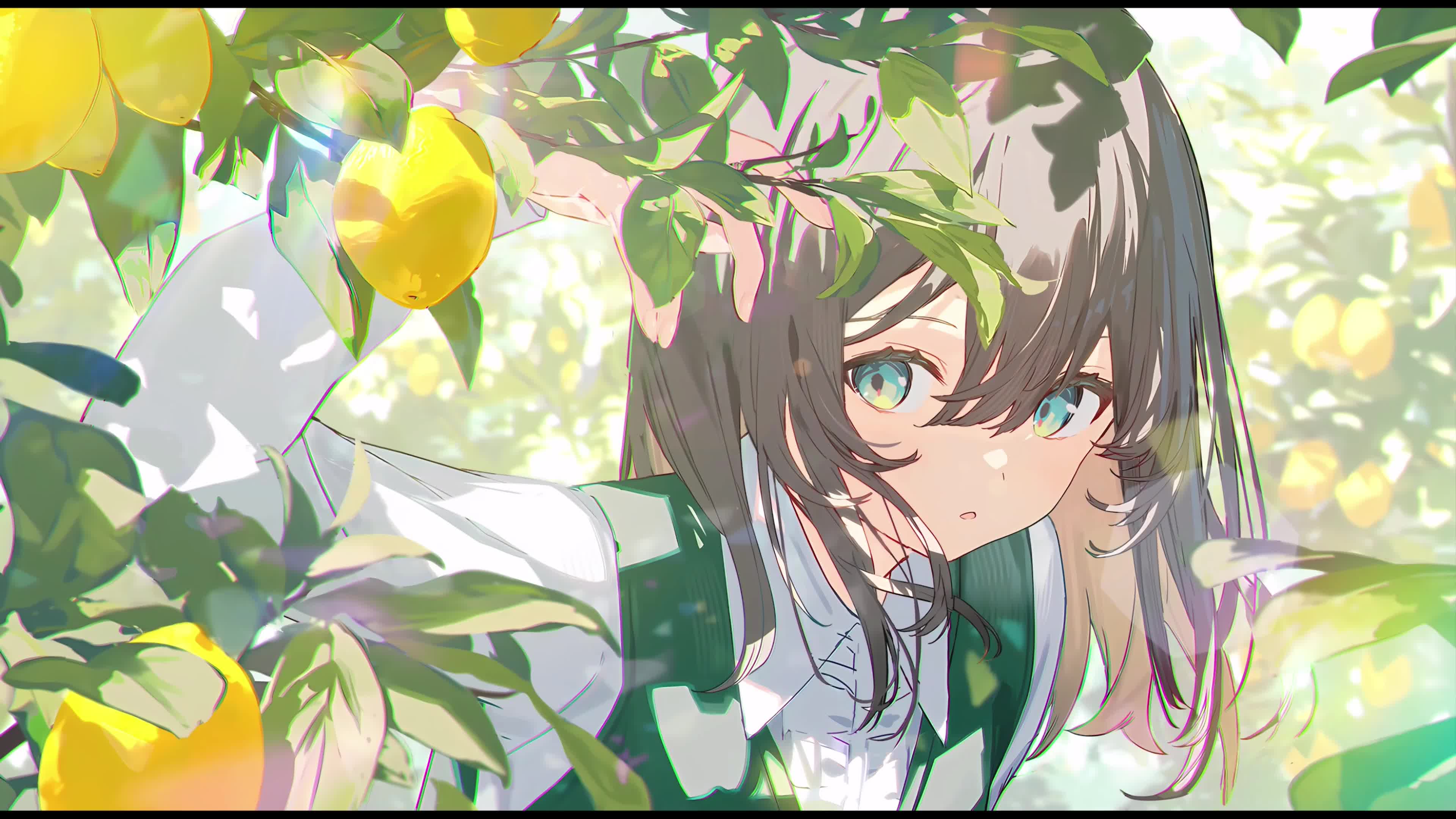 少女与柠檬树