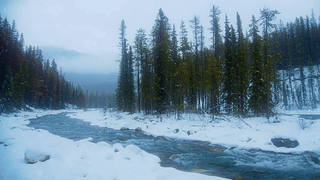 冬雪高山树林河流