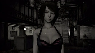 k - Fatal Frame 动态壁纸 | 作者：用户aaaaEus9g
