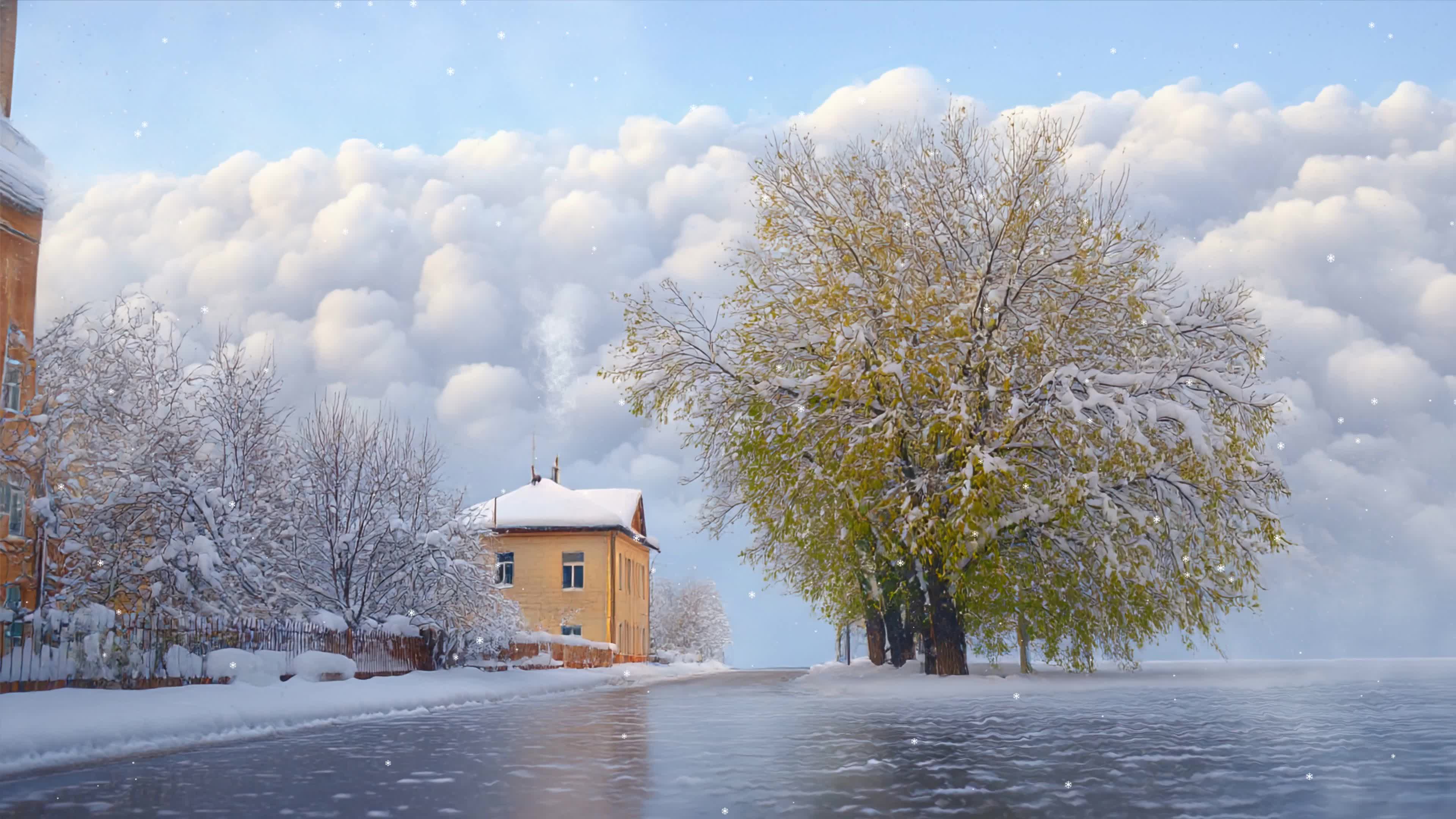雪景树木房屋