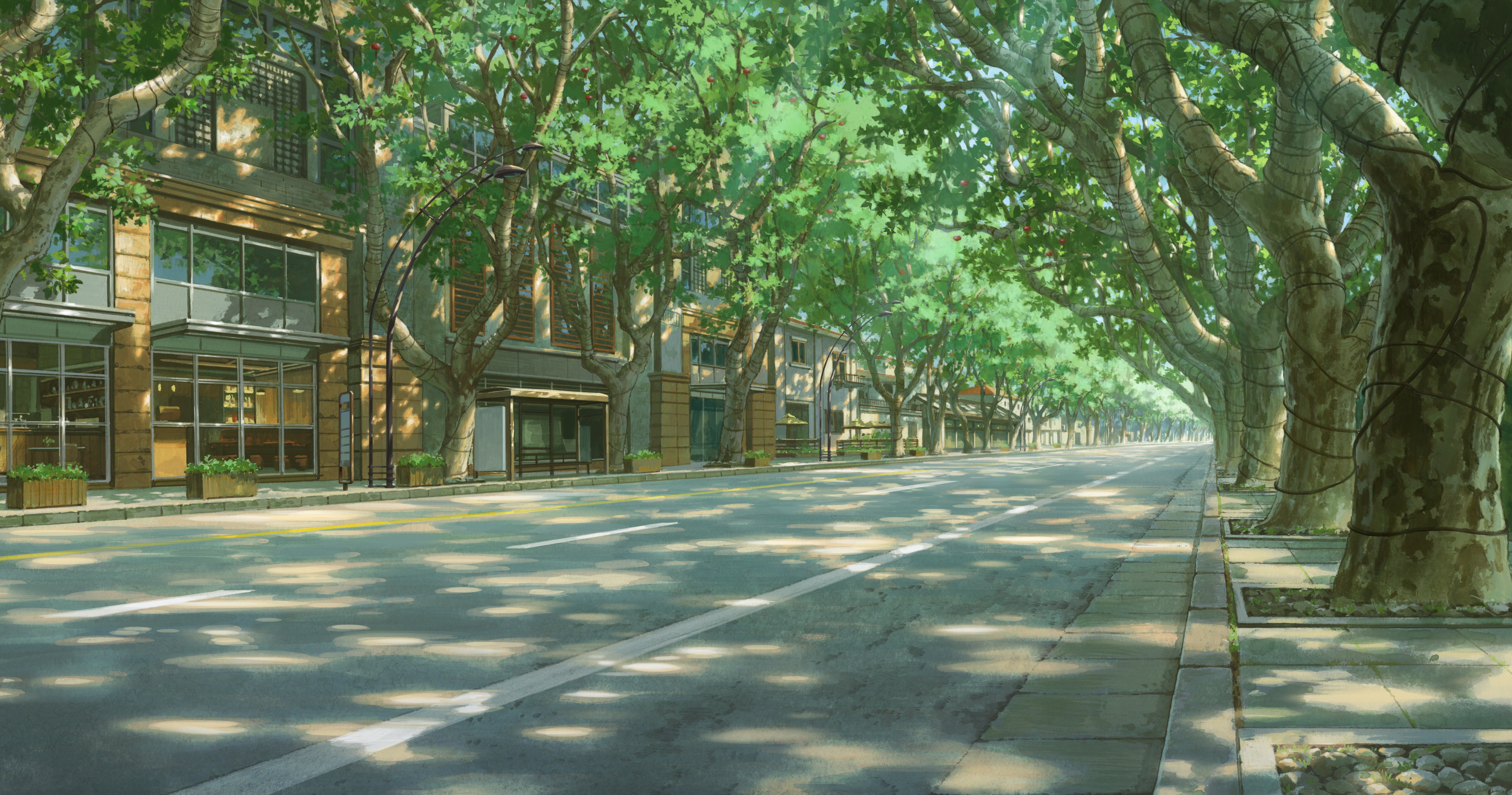 树荫小路