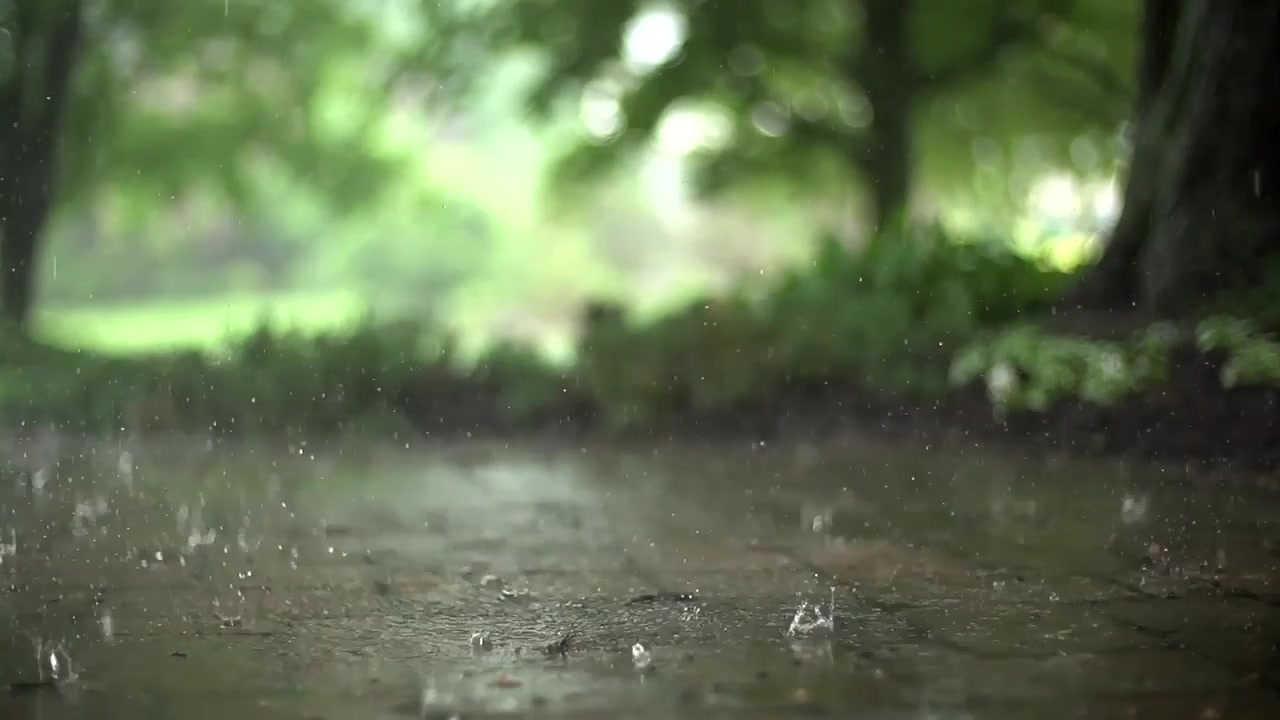 雨滴飘落