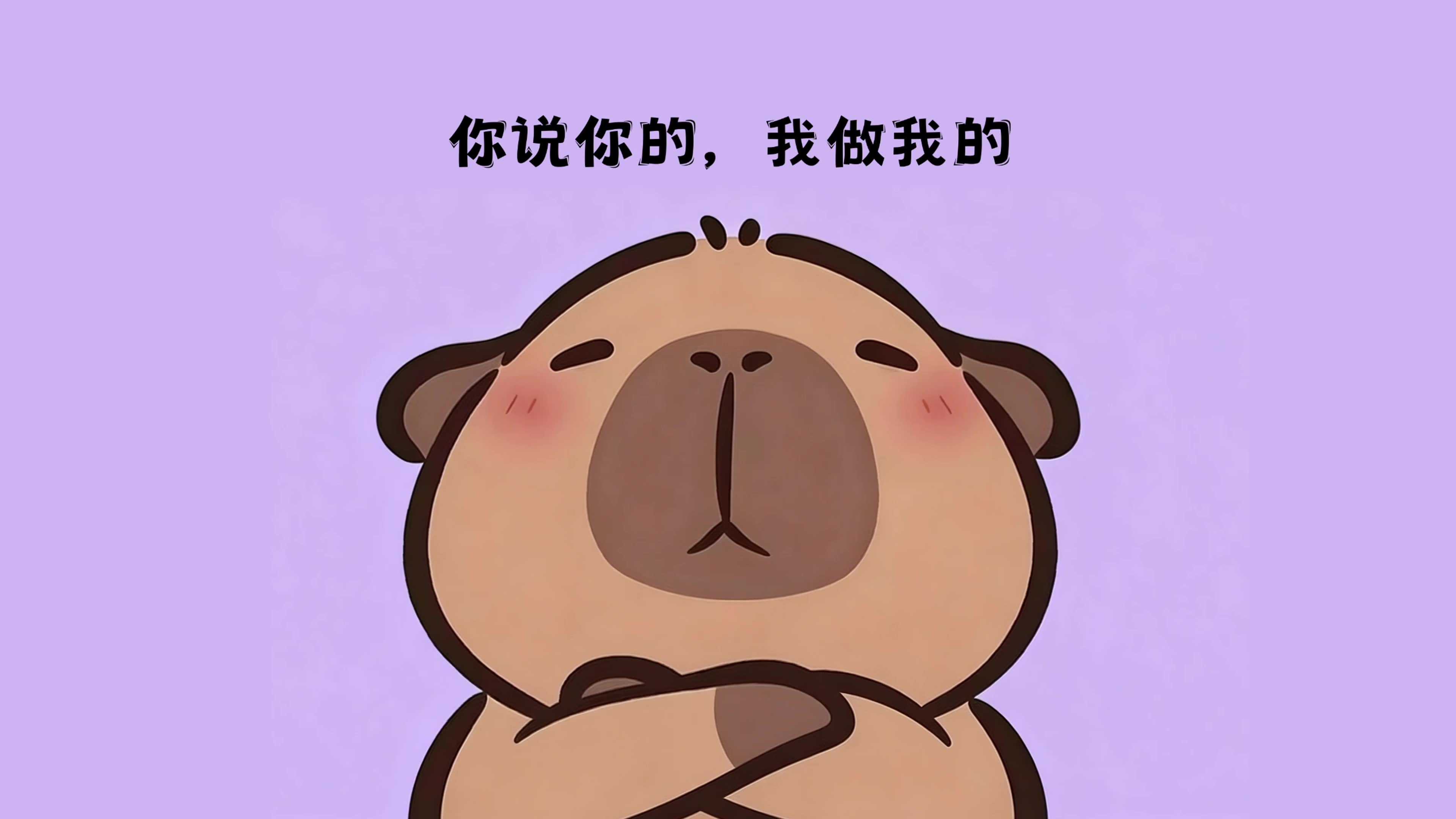 你说你的，我做我的