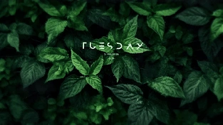 绿森 [4K超清]​/GreenForest [4K] 动态壁纸 | 作者：NRTHWAY.
