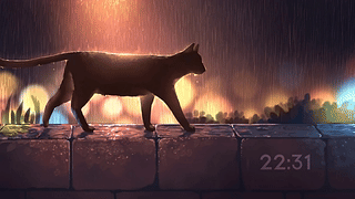黑猫