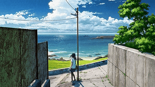 海
