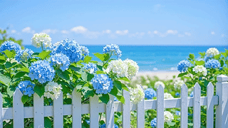 护眼海边风景绣球花
