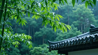 护眼雨滴屋檐 动态壁纸 | 作者：豆子酱edda