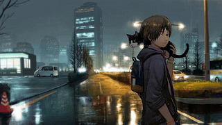 夜晚的道路