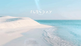 景致恬静的海滨自然风光 动态壁纸 | 作者：SalyutSash