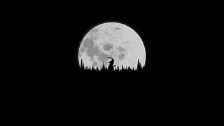 武士
