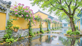 雨天墙外小巷