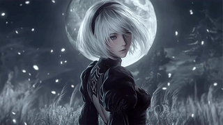 尼尔2B