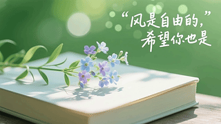 风是自由的希望你也是