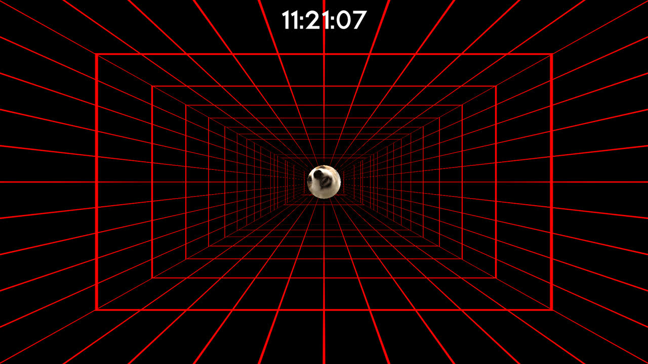 麻匪 眼睛训练 Eye Training