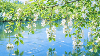 护眼树叶小河