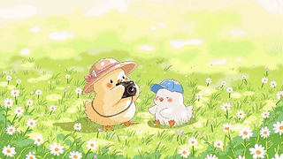 春野留影可爱小鸡