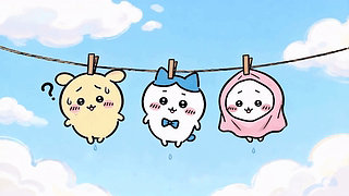 晾晒小可爱