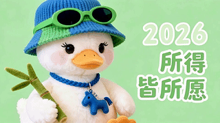 2026所得皆所愿