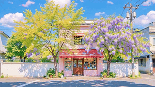 蓝天下街角商店