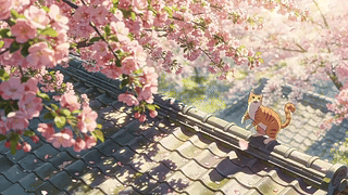 赏花小猫猫