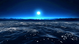 孤独海月