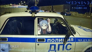 猫娘被捕