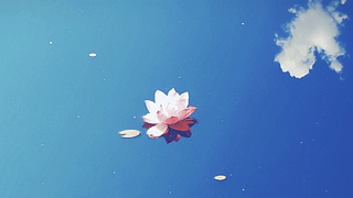 云端莲梦