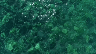 波光粼粼