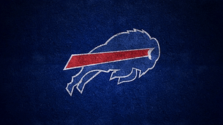 美国国家橄榄球联盟（NFL）布法罗比尔队