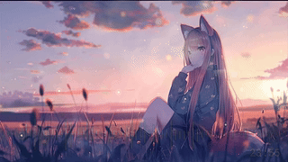 猎场之狐