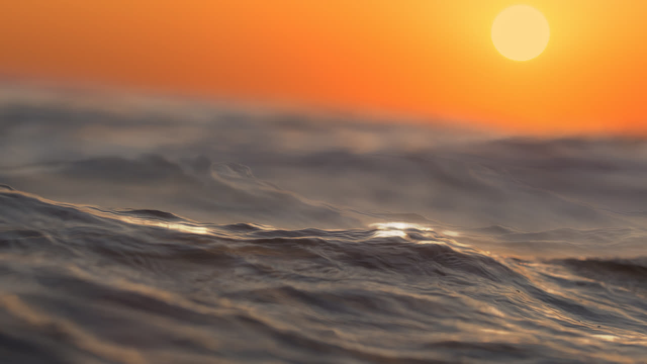 阳光海洋【4K】