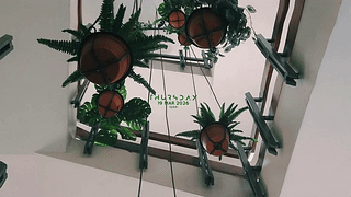悬挂植物 ─ 绿植美学壁纸 (可互动 & 带时钟)