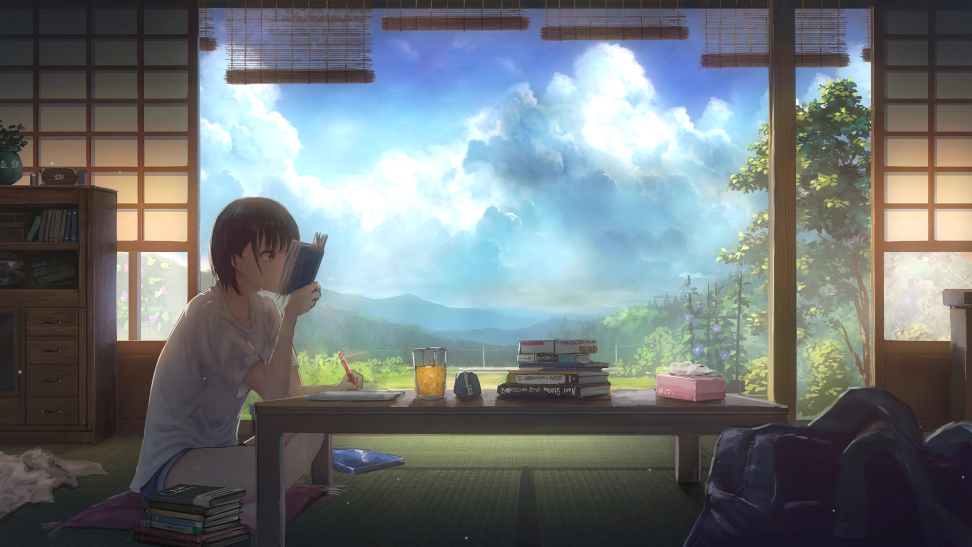 受験生の夏  -  考生的夏天