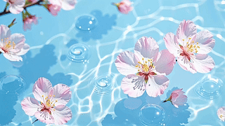 清凉感夏日水中桃花