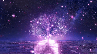 樱花树