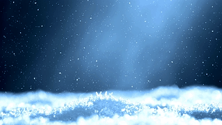 飘落的美丽雪花/beautiful falling snow