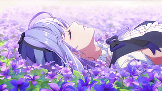 薇薇安花田 无念之境 零区