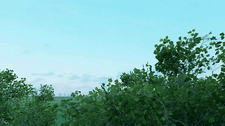 摇曳树影