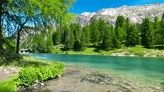 夏日高山河流