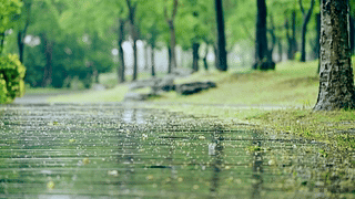 护眼地面雨滴