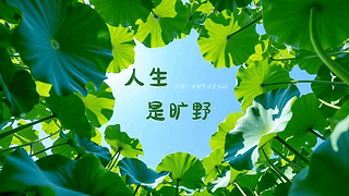 护眼绿色心情